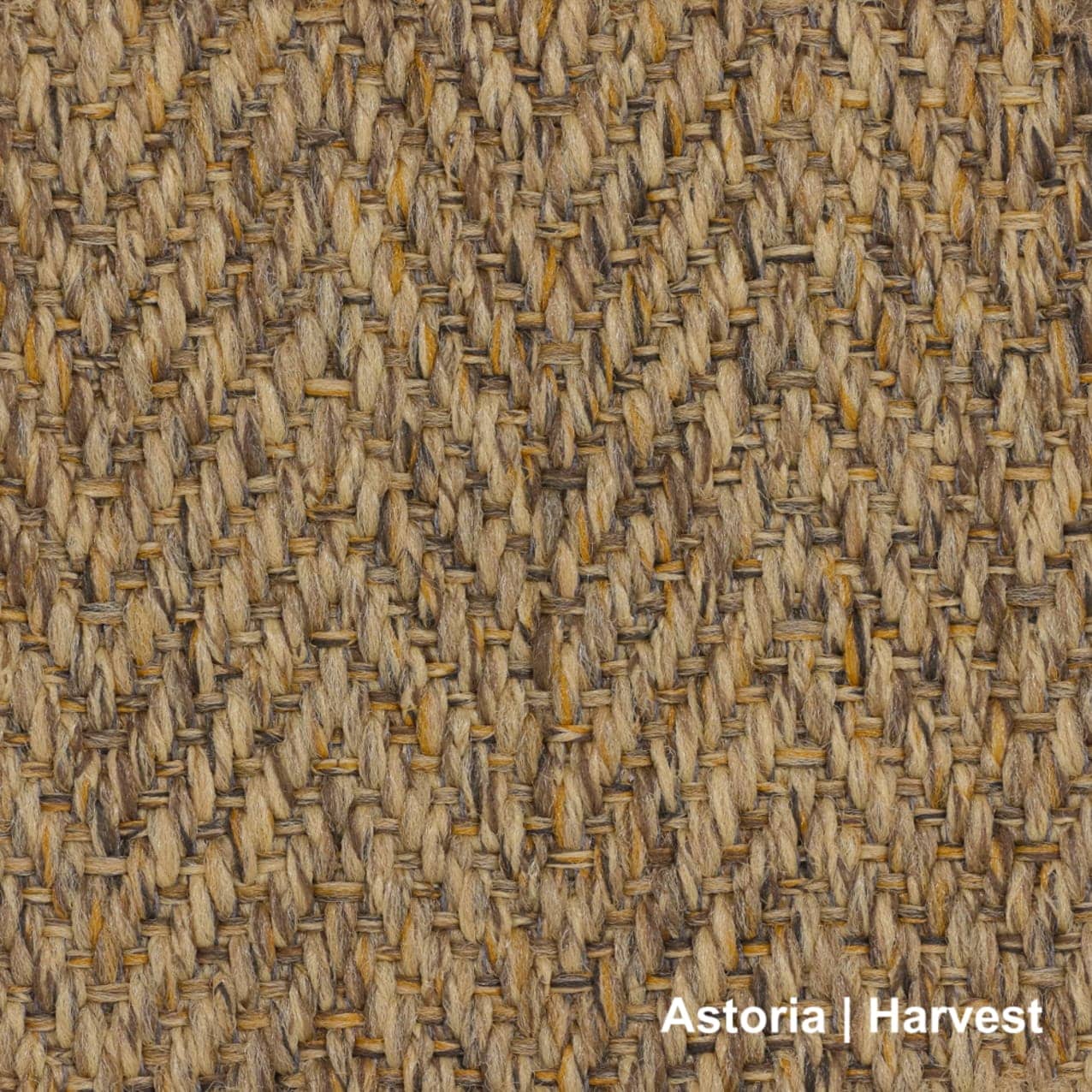 Astoria | Harvest