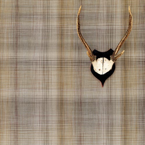 dress up your walls: chilewich plaid wall cover in tan