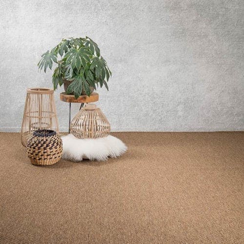 wall to wall polypropelene fiber flooring with plant and floor cushion