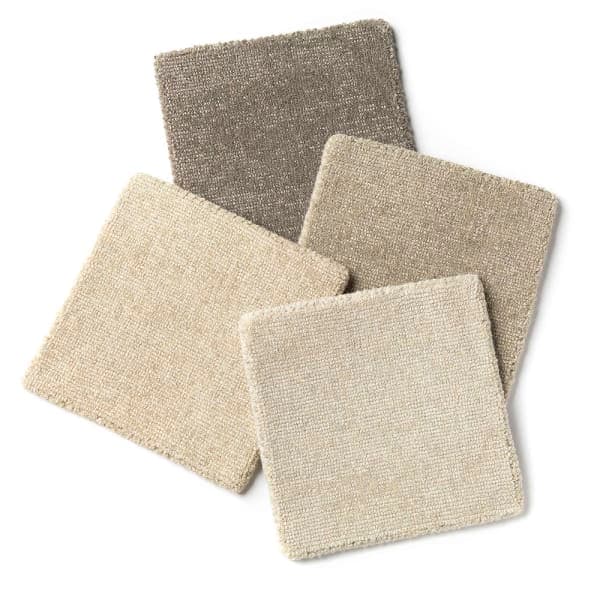 Chennai | Dunnock, Owl, Ammonite, & Cloud