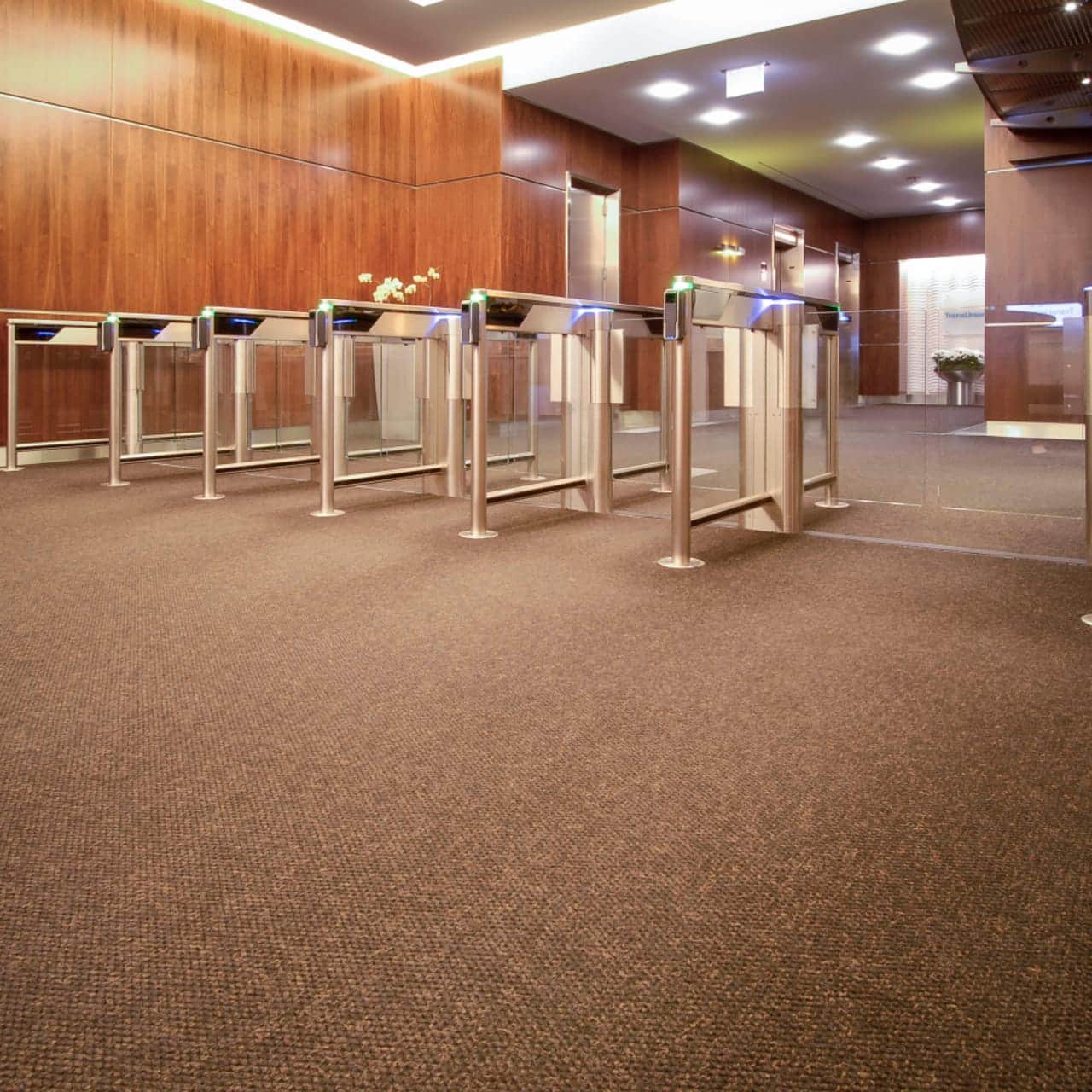 Titan | Custom Installation