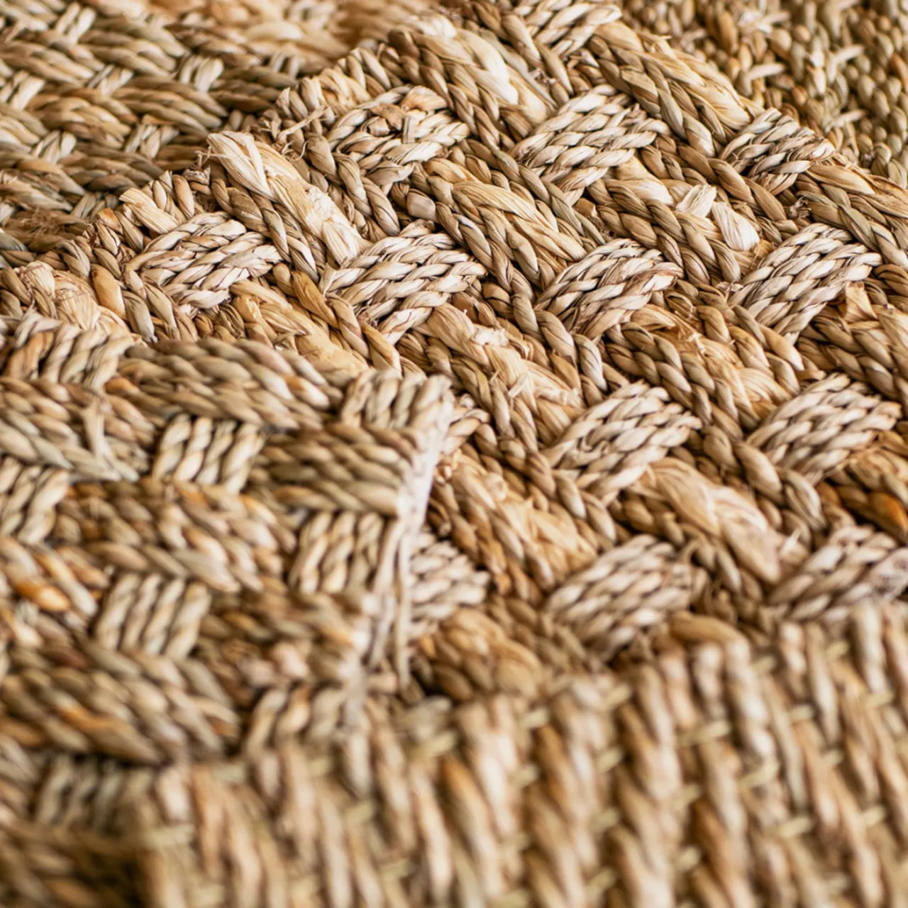 Group of seagrass swatches