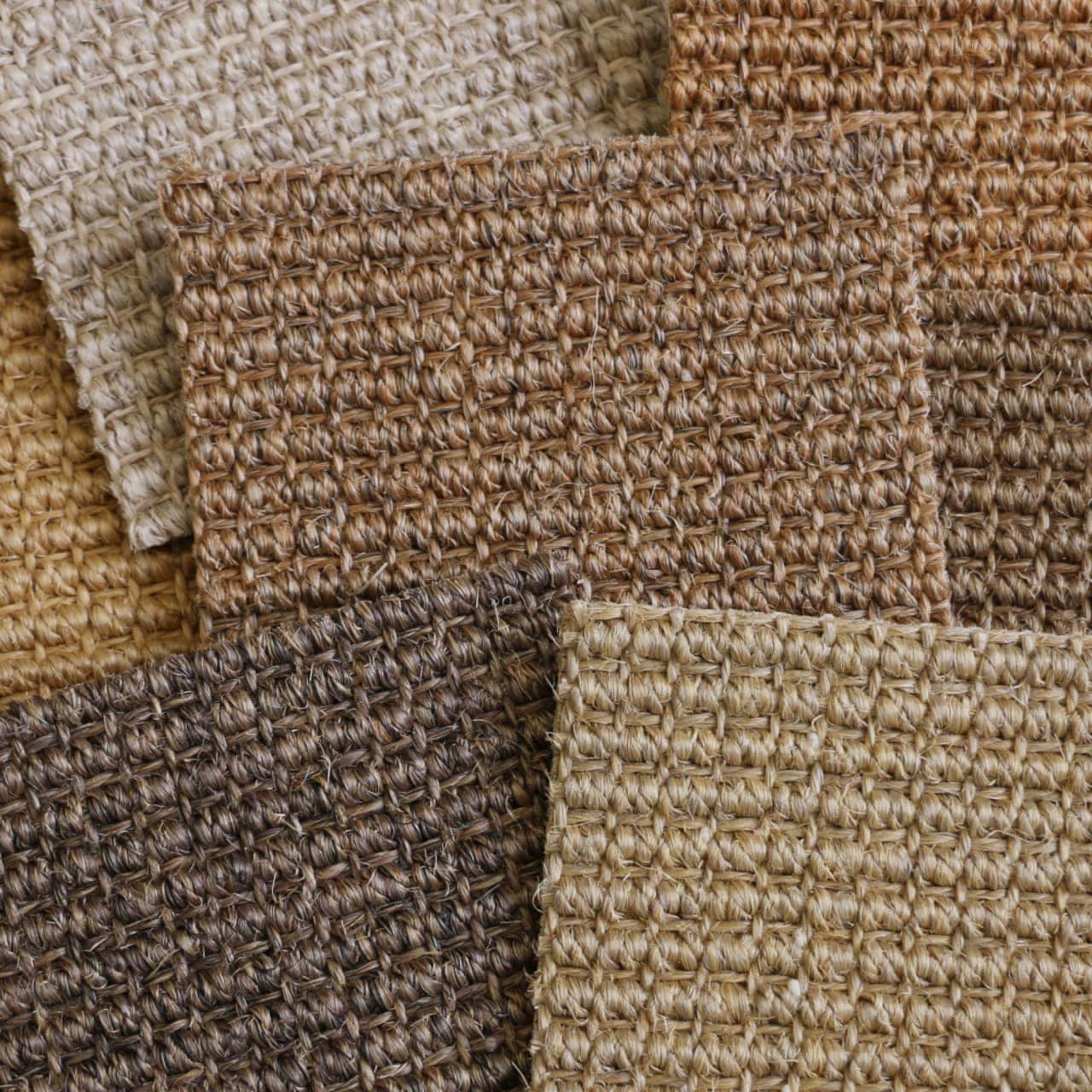 Basque | Assorted Colors