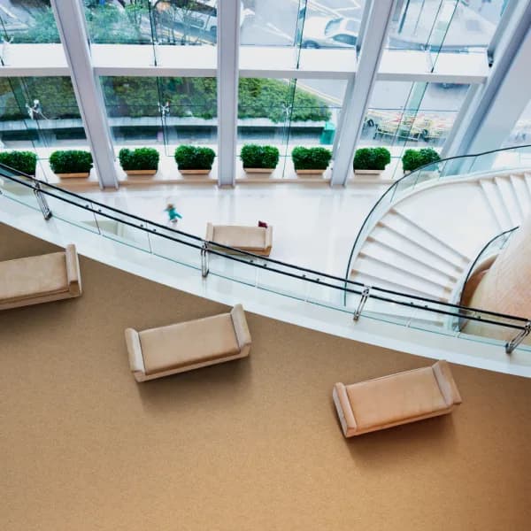 Medina Bark carpet installed wall-to-wall in corporate lobby