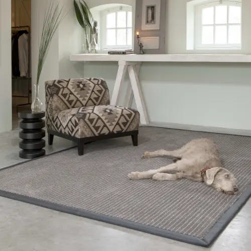 Chalk Boulevard wool rug with leather border in sitting with dog